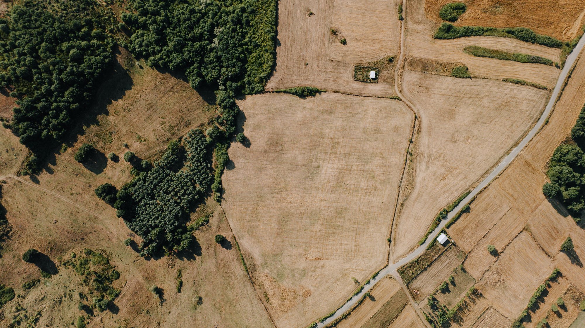 Senkrechte Luftaufnahme von abgeernteten Feldern, Waldrand und einem Feldweg